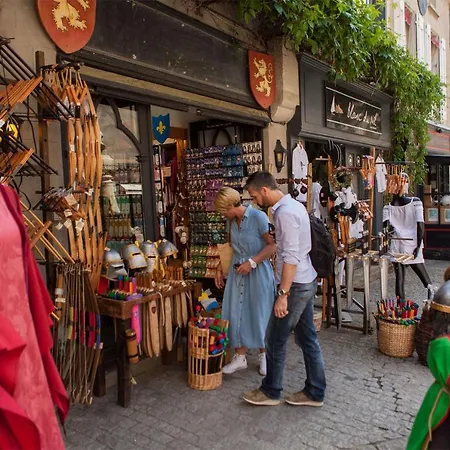 Confort ! Calme, Climatisation, Vue Degagee, ,parking Gratuit, Ascenseur, Wifi * Carcassonne