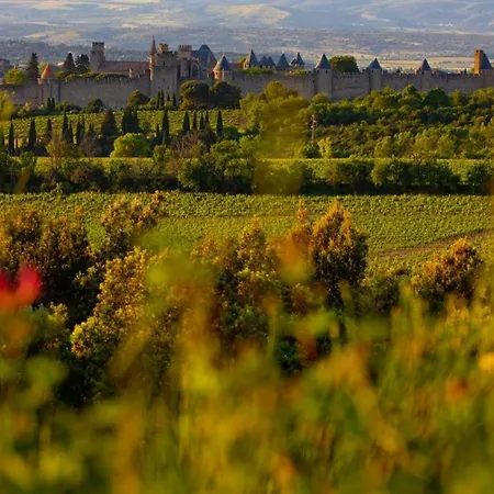 Tout Confort ! Calme, Climatisation, Vue Degagee, ,parking Gratuit, Ascenseur, Wifi Carcassonne